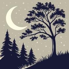 Winter night forest with snow and Christmas trees under a starry sky