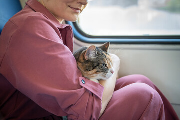 Relaxed content cat resting in woman arms on public transport journey. Calm pet travel, feline...