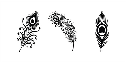 Obraz premium peacock feather silhouette vector hand drawn illustration on white background.