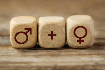 Sex education. Cubes with female and male gender symbols and plus sign on wooden table, closeup