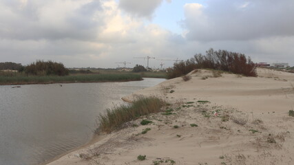 Landscape of the sand dunes on the Baltic Sea coast.