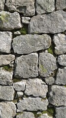 Gray stone wall with varied shapes, moss growing between rocks