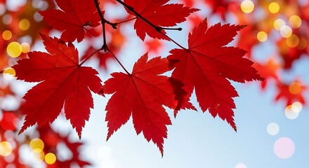 Vibrant red Japanese maple leaves against a soft blue sky, illuminated by bokeh lights.