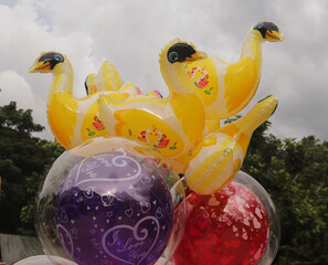 Vibrant Swan-Shaped Balloons and Bubble Balloons for Celebrations