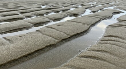 Wet sand patterns