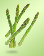 Fresh asparagus falling on green gradient background