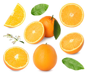 Fresh oranges, green leaves and blossoms isolated on white, set