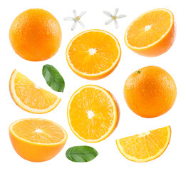 Fresh oranges, green leaves and blossoms isolated on white, set