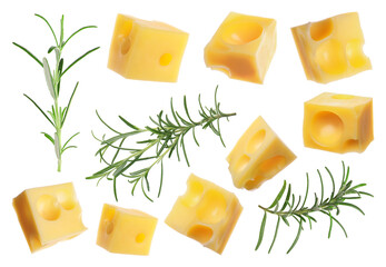 Cheese cubes and fresh rosemary isolated on white, set
