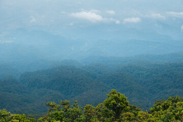 Scenic View of a Lush Mountain Forest in Misty Weather