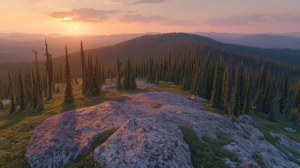 Mountain vista at sunset with dense evergreen forest and rocky foreground