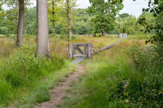 Wooden gate crossing a narrow path in dutch countryside