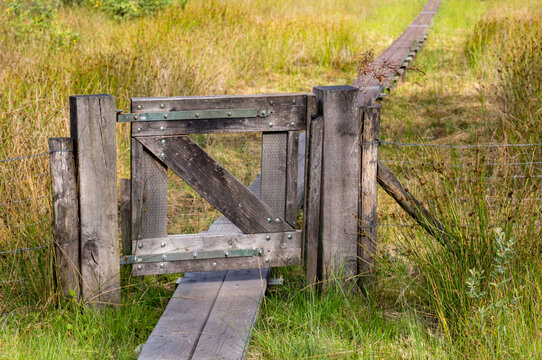 Wooden gate protecting a boardwalk through wetlands in woold, netherlands
