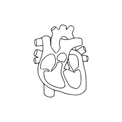 love, health and cardiovascular symbol illustration.