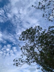 sky and clouds
