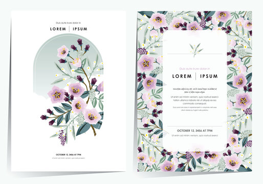 Vector Illustration Template Set of Summer Flowers in Cool and Fresh Colors 	
