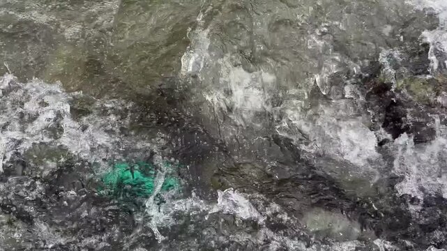 Exploring Nature Beauty, Travel Through Kashmir Green Landscapes, Birds, Water, Plants and the Life of Indian Farmers and Environment Lovers  Clip 149