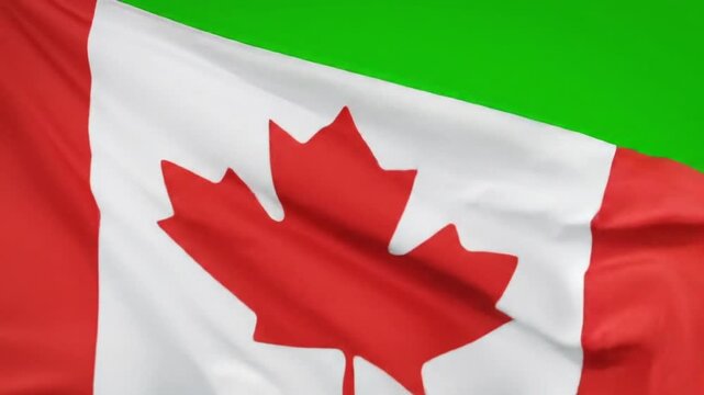 National flag of Canada waving realistically on a green screen background