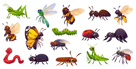 Cartoon funny insect characters of bee, ant, butterfly and ladybug. Vector cute googly mosquito, dragonfly, ground beetle and grasshopper insect personages, fly, cockroach, wasp, caterpillar and worm