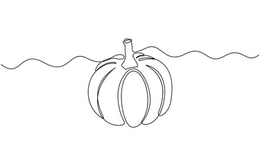 Continuous one line drawing of pumpkin fruit vector illustration. Editable outline