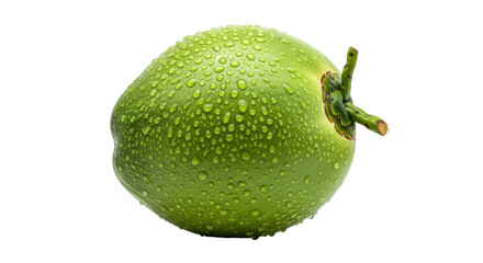 Isolated Fresh Green Coconut