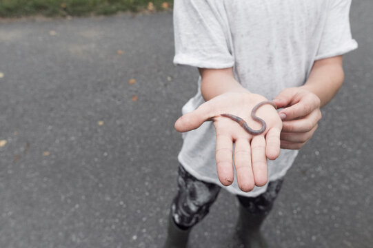 Boy showing earthworm on his palm, close-up