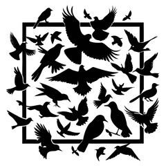 birds on a branch