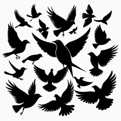 vector silhouettes of birds