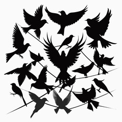 vector set of birds