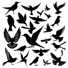 silhouettes of birds