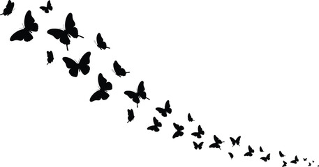 Silhouette of flying butterflies in motion trail, artistic nature illustration, elegant insect pattern for decorative and graphic design projects © Parvej Creatives