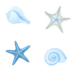 set of sea shells and starfish 