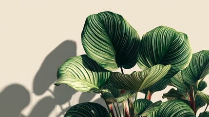Green Tropical Plant Leaves Against Beige Wall
