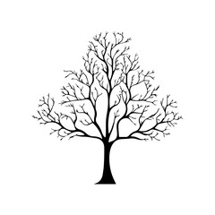 Obraz premium Bare Tree with Full, Intricate Branch Structure