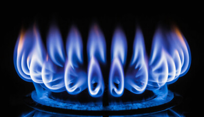 Natural Gas. High prices of natural gas. Blue flames of gas burning from a kitchen gas stove. Energy crisis concept background. Cooker with burning fire propane.