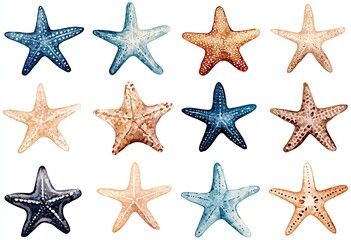 Twelve watercolor starfish in various shades of blue, beige, and brown, arranged in a grid on a white background