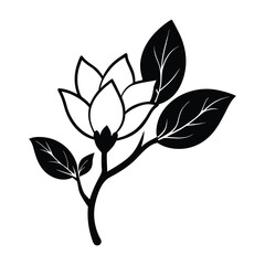 Magnolia flower, magnolia tree branch. Vector art
