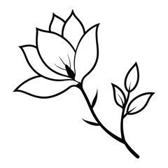 Magnolia flower, magnolia tree branch. Vector art