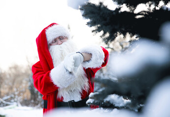 Santa Claus Checking Time in Winter Wonderland