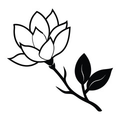Magnolia flower, magnolia tree branch. Vector art