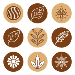 Botanical leaf and flower icons nature