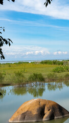 View of River Brahmaputra with clouds in the sky and porcupines for flood control 4 vertical photo
