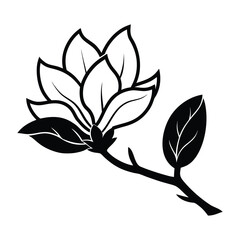 Magnolia flower, magnolia tree branch. Vector art
