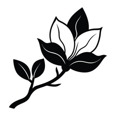 Magnolia flower, magnolia tree branch. Vector art