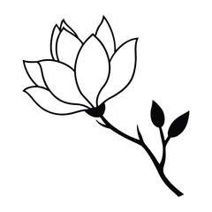 Magnolia flower, magnolia tree branch. Vector art