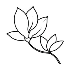 Magnolia flower, magnolia tree branch. Vector art