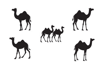silhouette camel and baby camel in side profile pose  set on the white background