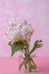 Floral centerpiece of pink hydrangeas – great for tabletop decor, home style blogs