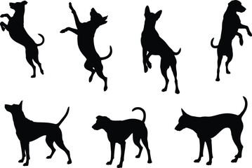 Dog silhouettes in various poses, standing and jumping dogs, pet animal shadow, canine silhouette set, black dog shapes, playful pet outlines