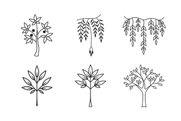 line art neem tree with thick trunk set bundle on white background